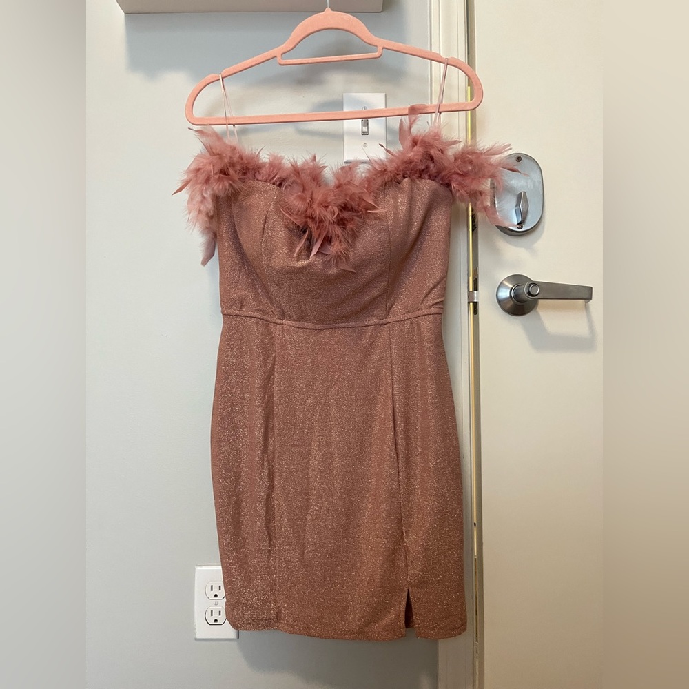 Pink Shimmer Dress with Feathers